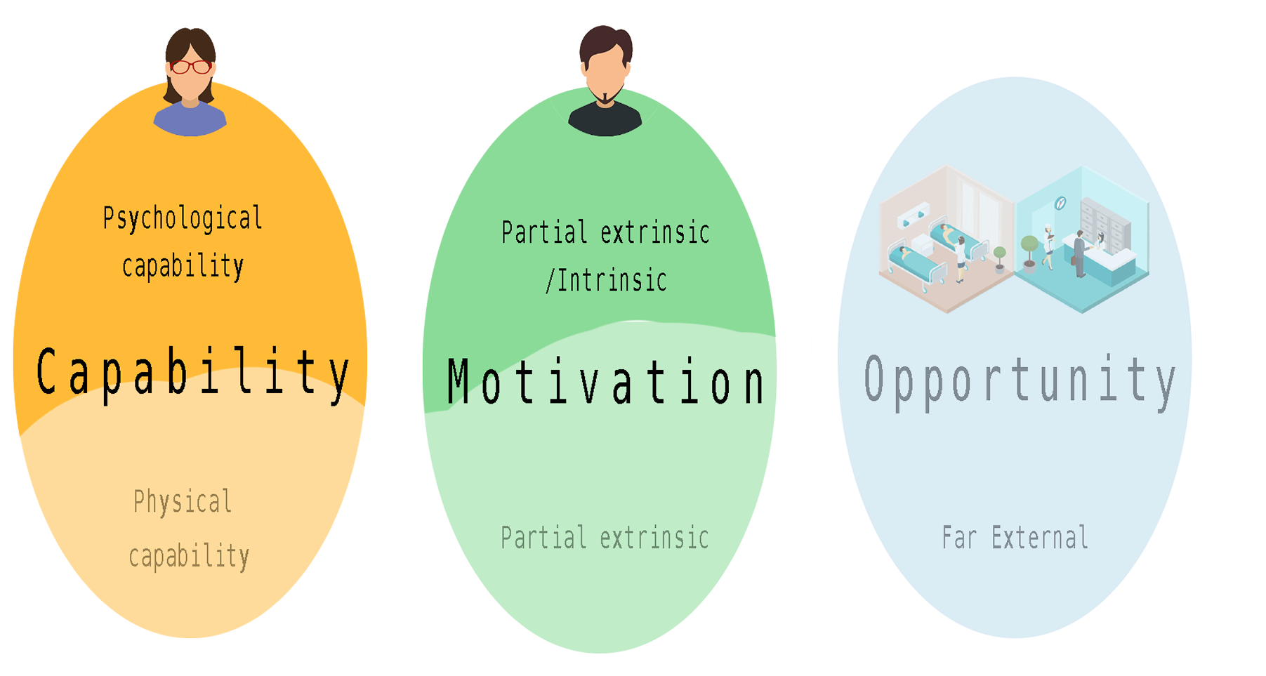 Capability, Motivation, Opportunity behaviour model